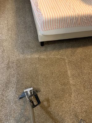Carpet Stain Removal by Certified Green Team