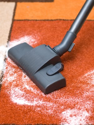 Carpet odor removal by Certified Green Team