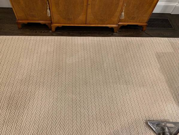 Before & After Carpet Stain Removal in Philadelphia, PA (3)