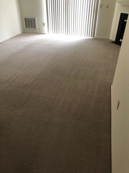 Carpet Cleaning in Philadelphia, PA (1)